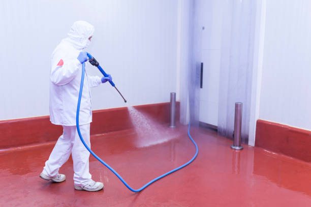 Best Warehouse Cleaning  in Honesdale, PA